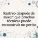 Tarjeta ilustrada sobre el seguimiento en blockchain después de usar un mixer