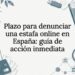 Representación de los plazos y evidencias en fraudes en línea