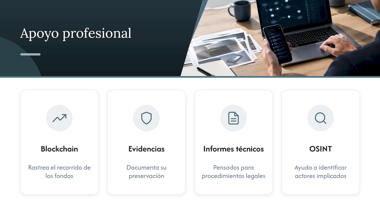 Si necesitas apoyo profesional, esto es lo que hacemos — overview diagram