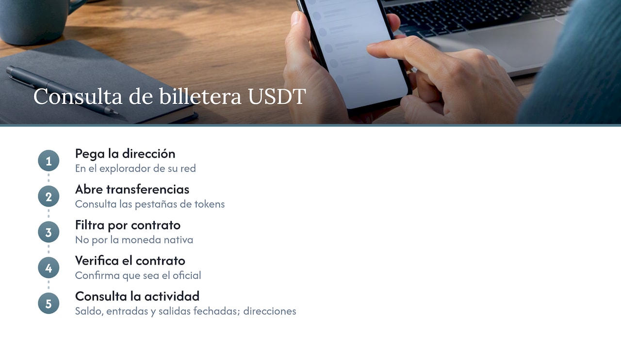 Datos visibles al rastrear una billetera USDT
