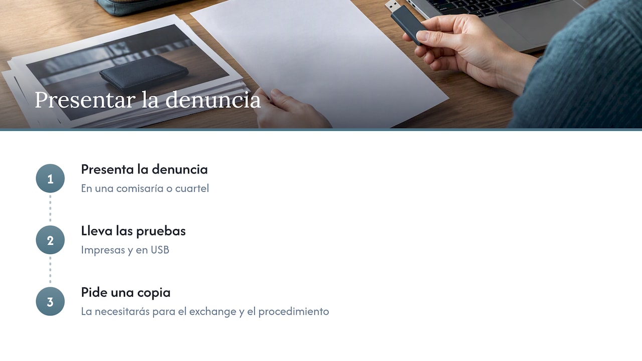 1. Denuncia ante Policía Nacional o Guardia Civil — overview diagram